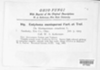 Image Associated With the Occurence